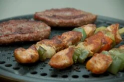 Cobb Premier+ Gas Gasbarbecue - Grijs -Kampeer Verkoop 1263 1900 dsc 0474