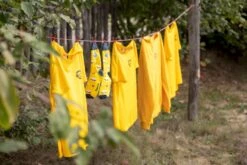 Easy Camp Palmdale 600 Tunneltent - 6 Persoons -Kampeer Verkoop 1267 1900 waslijn 1