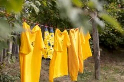 Easy Camp Edendale 600 Tunneltent 6 Persoons - Grijs -Kampeer Verkoop 1267 1900 waslijn 1 1