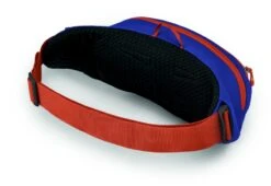 Osprey Daylite Heuptas - Blauw/Oranje -Kampeer Verkoop 1900 1425 daylitewaist s23 sideback silverliningblueberry 10005144