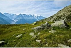 Vango F10 Helium UL 2 Ultralichte Trekking Tunneltent - 1/2 Persoons - Groen 10 Vango F10 Helium UL 2 Ultralichte Trekking Tunneltent - 1/2 Persoons - Groen -Kampeer Verkoop 1900 1783 f10 helium ul 2 3