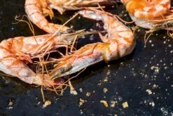 OFYR Kookboek -Kampeer Verkoop 800 1200 cb no1 nl fr 3