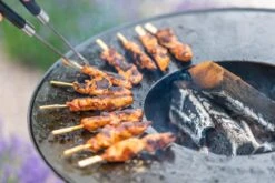 RedFire ONYX Classic Vuurschaal Bbq - 80 Cm 17 RedFire ONYX Classic Vuurschaal Bbq - 80 Cm -Kampeer Verkoop 85208 lifestyle 06 1