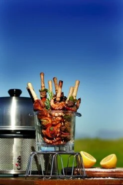 Cobb Premier+ Gas Gasbarbecue - Grijs -Kampeer Verkoop cobb premier 3 1